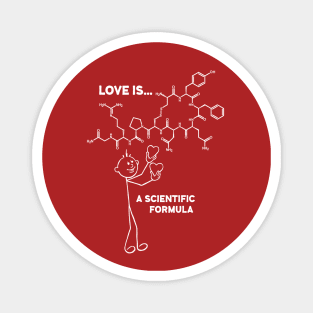 LOVE IS... A SCIENTIFIC FORMULA Magnet